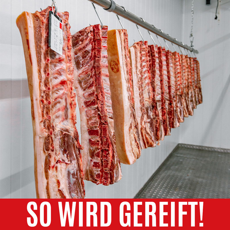 Dry-Aging: Schweinerücken hängend in der Reifekammer