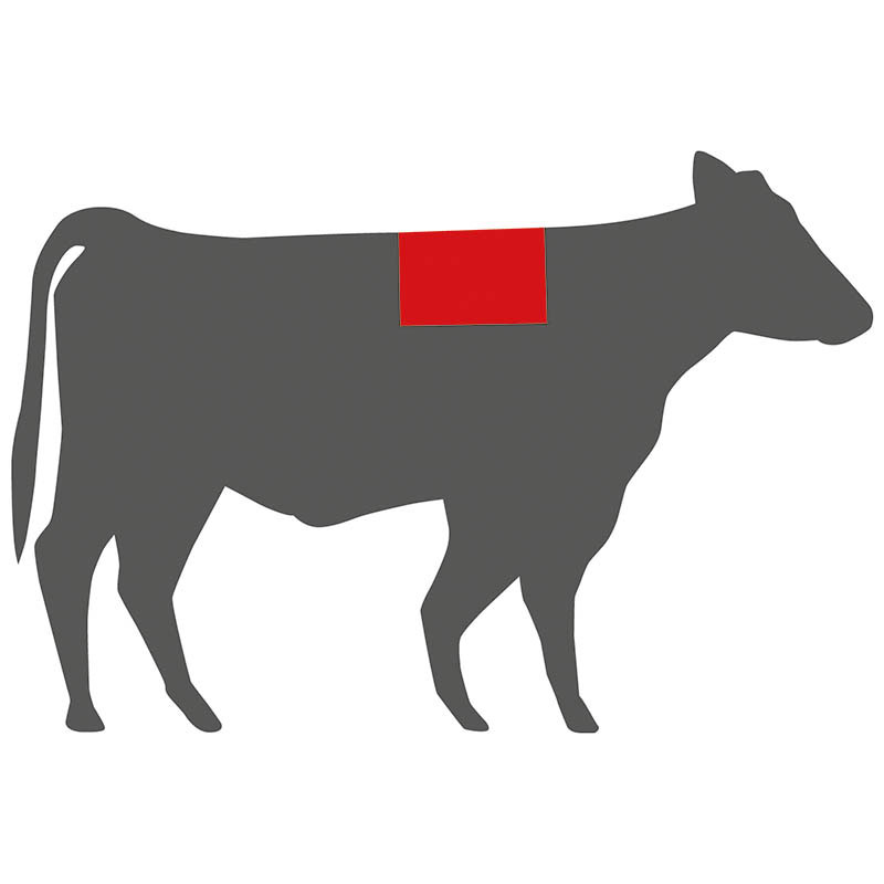 Grafik: Lage des Ribeye (Hochrippe) am Rind