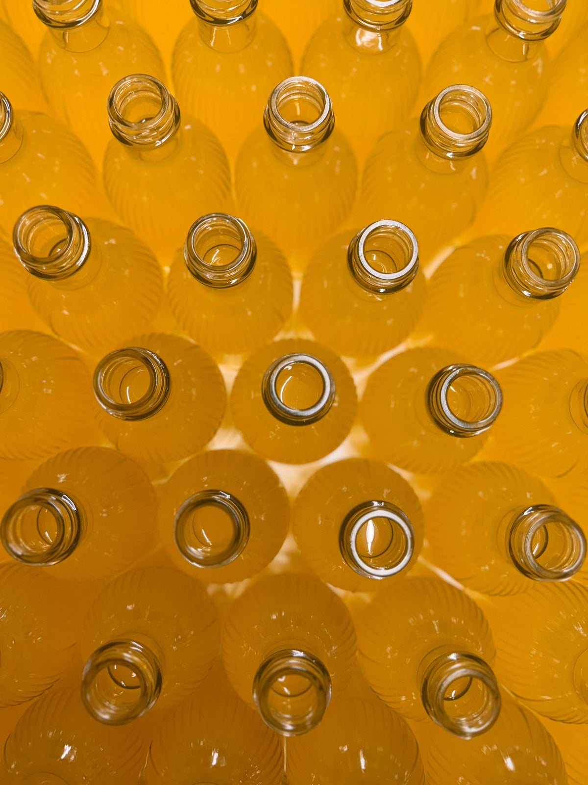Limon.Cello Zitronenlikör